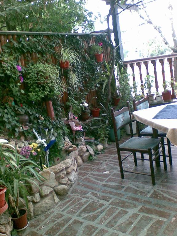 Family Hotel Natalis Hisarya Ngoại thất bức ảnh